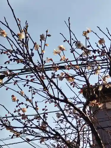 相模原氷川神社(神奈川県)