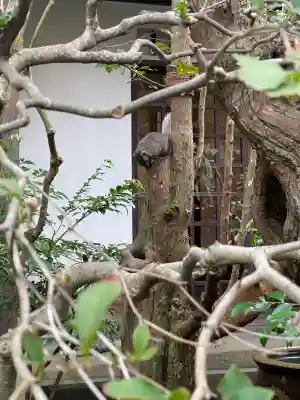 明月院の{uncategorized: "未分類", other: "その他", undefined: "問題あり", building: "その他建物", grave: "お墓", sacred_gate: "鳥居", guardian: "狛犬", statue: "像", buddha: "仏像", history: "歴史", nature: "自然", garden: "庭園", animal: "動物", pagoda: "塔", temizu: "手水舎", mountain_gate: "山門・神門", sanctuary: "本殿・本堂", subordinate: "末社・摂社", art: "芸術", scenery: "景色", jizo: "地蔵", ema: "絵馬", goshuin: "御朱印", omikuji: "おみくじ", items: "授与品その他", amulet: "お守り", goshuincho: "御朱印帳", eats: "食事", festival: "お祭り", votive_dance: "神楽", shichigosan: "七五三参", wedding: "結婚式", experience: "体験その他", initially: "初詣", around: "周辺", anti_infection: "感染症対策"}