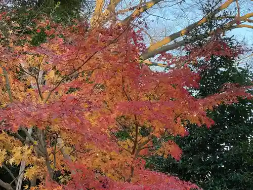白旗神社(神奈川県)
