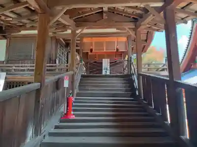 金剛寺(大阪府)