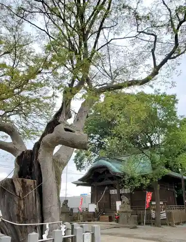 阿邪訶根神社(福島県)