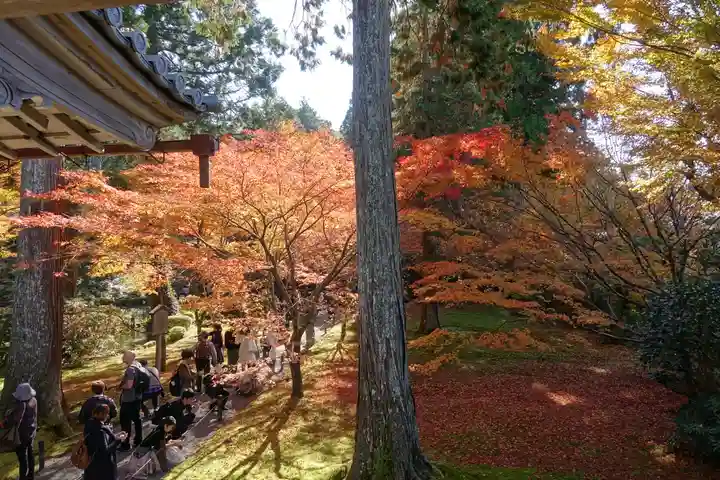 三千院門跡の景色