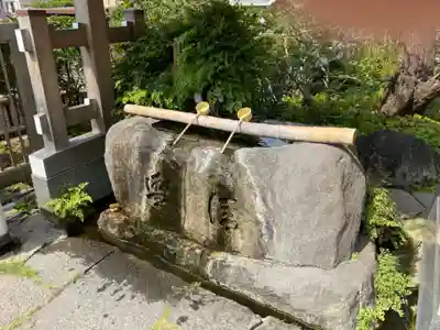 妙蓮寺の手水舎