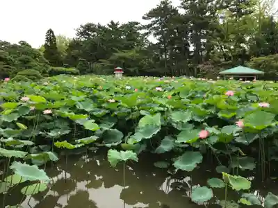 白山神社(新潟県)