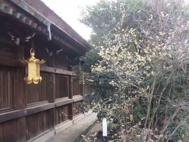 北野天満宮の自然