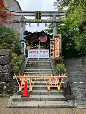 地主神社(京都府)