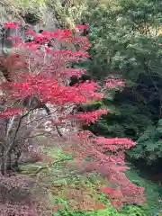 宝珠山 立石寺(山形県)