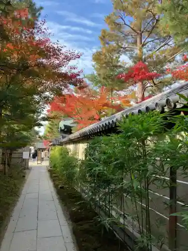 高台寺（高台寿聖禅寺・高臺寺）(京都府)