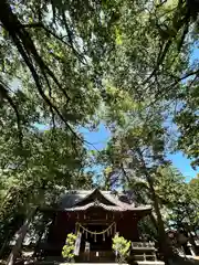 岩崎神社(長野県)