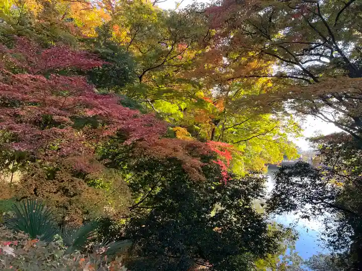 武田神社の自然