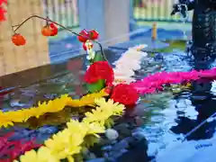 美幌神社の手水