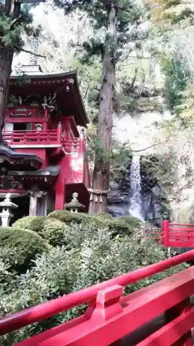 大正寺(中野不動尊)の景色