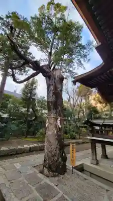 大将軍八神社(京都府)