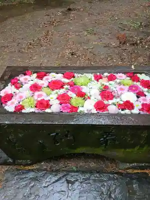埼玉神社の{uncategorized: "未分類", other: "その他", undefined: "問題あり", building: "その他建物", grave: "お墓", sacred_gate: "鳥居", guardian: "狛犬", statue: "像", buddha: "仏像", history: "歴史", nature: "自然", garden: "庭園", animal: "動物", pagoda: "塔", temizu: "手水舎", mountain_gate: "山門・神門", sanctuary: "本殿・本堂", subordinate: "末社・摂社", art: "芸術", scenery: "景色", jizo: "地蔵", ema: "絵馬", goshuin: "御朱印", omikuji: "おみくじ", items: "授与品その他", amulet: "お守り", goshuincho: "御朱印帳", eats: "食事", festival: "お祭り", votive_dance: "神楽", shichigosan: "七五三参", wedding: "結婚式", experience: "体験その他", initially: "初詣", around: "周辺", anti_infection: "感染症対策"}