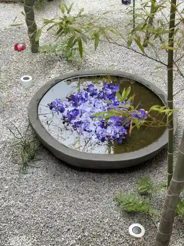 西来院(京都府)