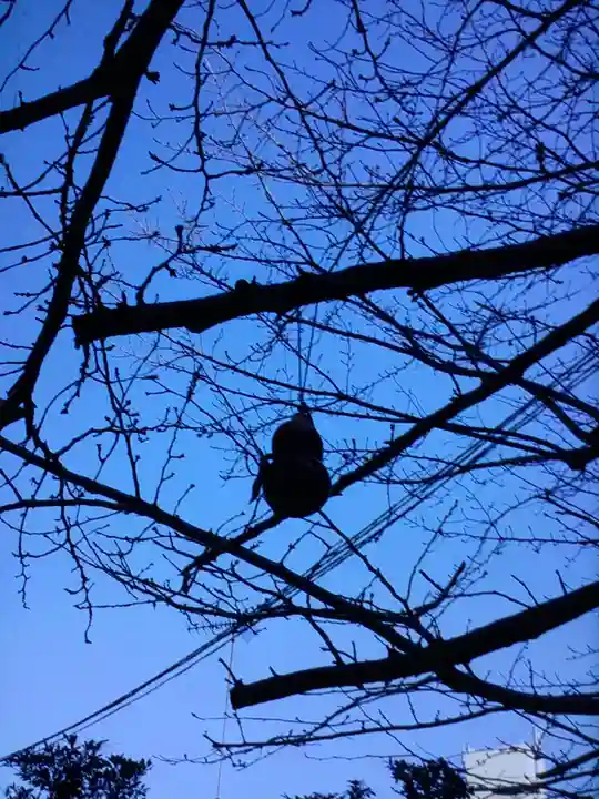 秋葉神社(東京都)