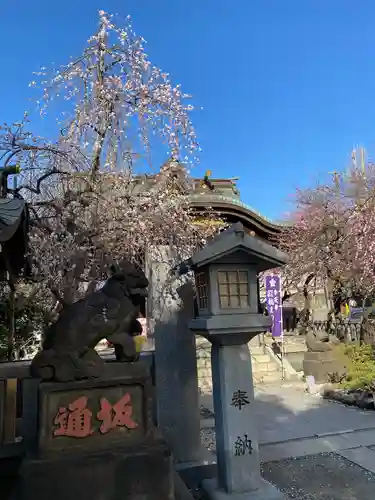 牛天神北野神社(東京都)