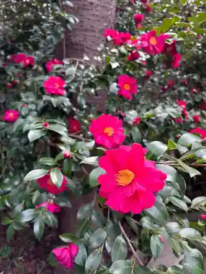 愛宕神社(宮城県)
