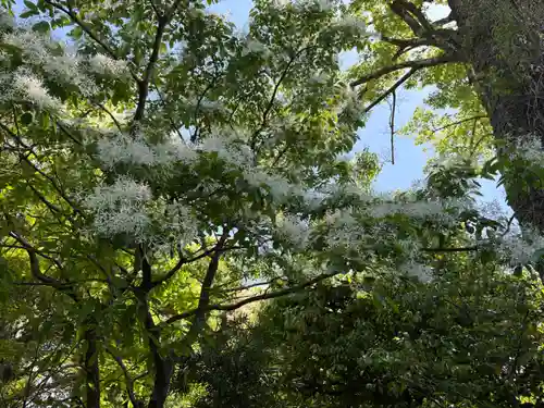 城南宮(京都府)