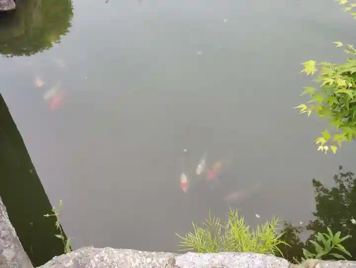 宇賀神社(岡山県)