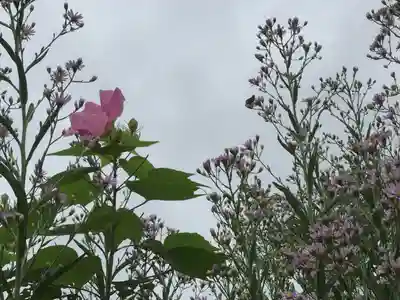 海蔵寺(神奈川県)