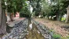 飯開神社の自然