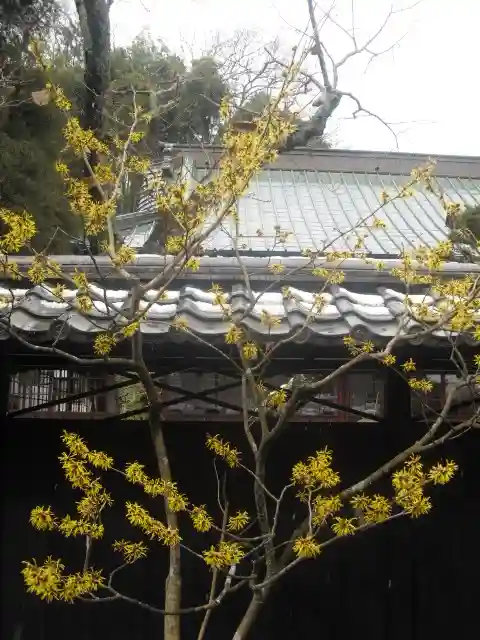 東慶寺の自然