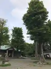 有鹿神社の自然