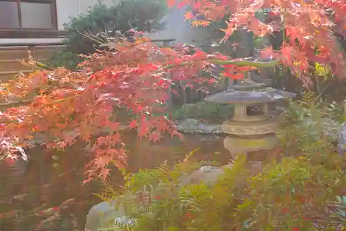 感通寺(東京都)