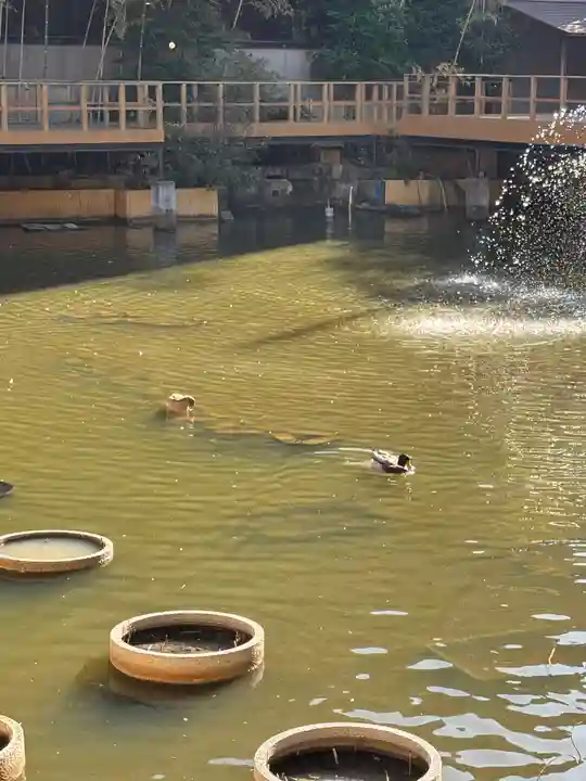 生田神社の庭園