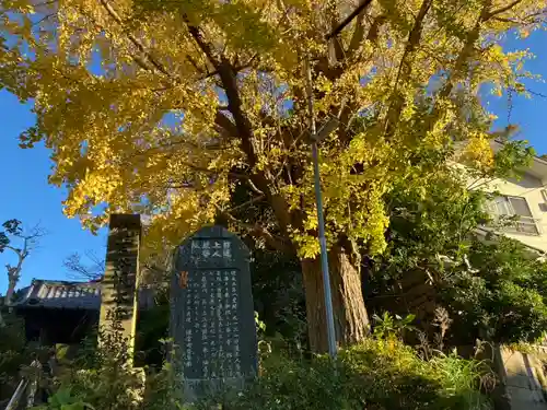 安國論寺（安国論寺）(神奈川県)