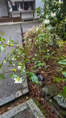 十輪寺(京都府)