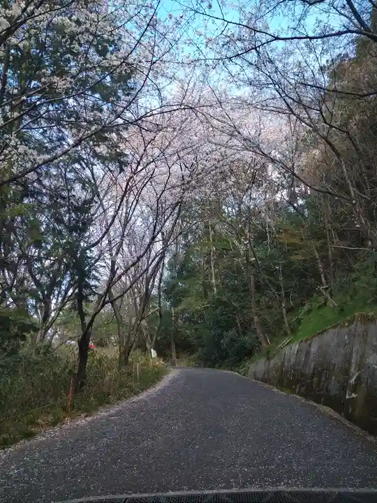 足高神社の自然