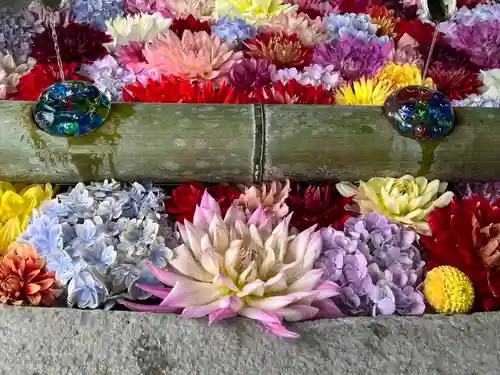 岡寺（龍蓋寺）(奈良県)