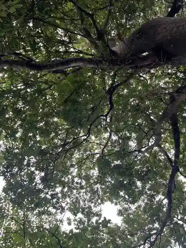 飯坂八幡神社(福島県)