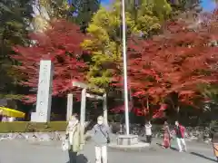 椿大神社(三重県)