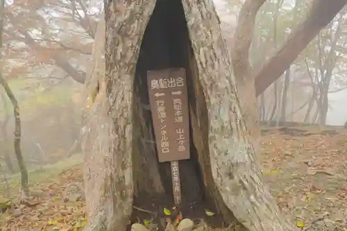 弥山神社（天河大辨財天社奥宮）の自然