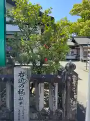 田村神社の自然