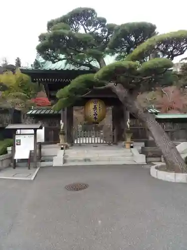 長谷寺の山門・神門