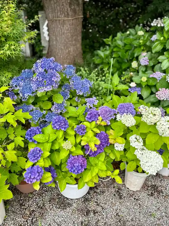源九郎稲荷神社(奈良県)