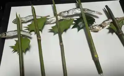 城山稲荷(福井県)