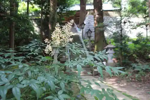 鹿島大神宮の景色