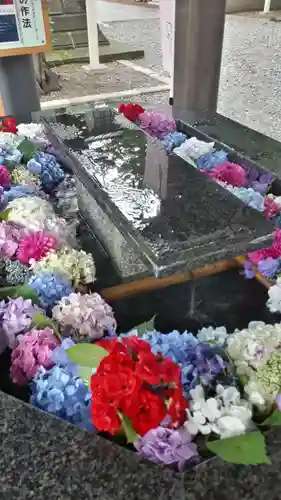 新琴似神社の手水