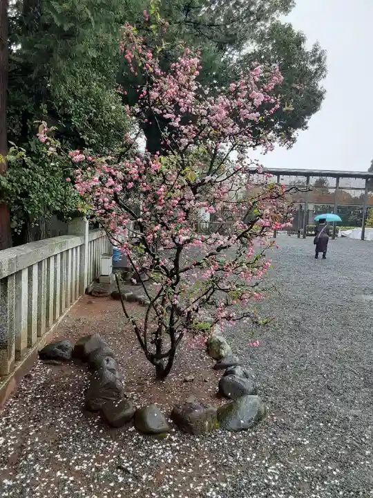 伊勢山皇大神宮(神奈川県)