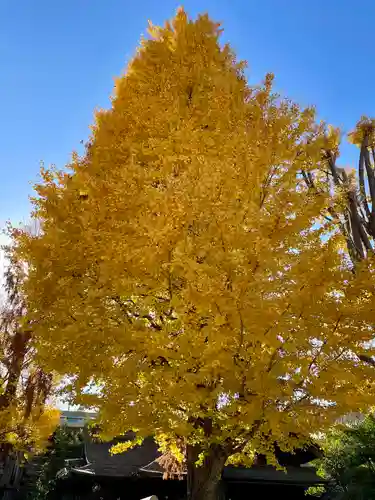 千住本氷川神社(東京都)