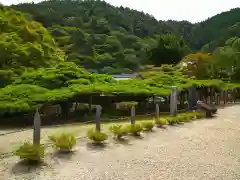 善峯寺(京都府)