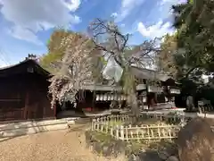 縣神社の御朱印