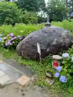 般若寺 ❁コスモス寺❁(奈良県)