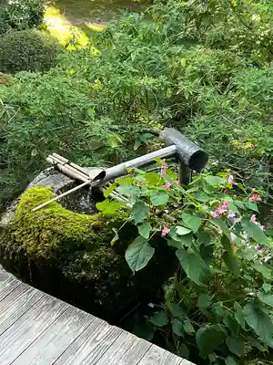 宝泉院(京都府)