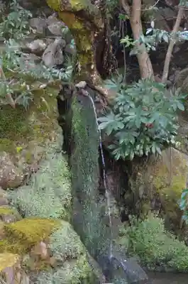 慈照寺（慈照禅寺・銀閣寺）(京都府)